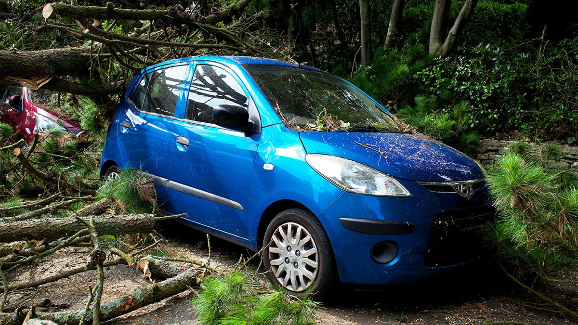 Car Insurance Assistance