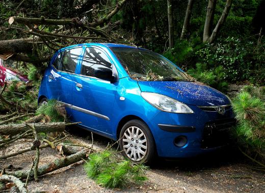 Car Insurance Assistance
